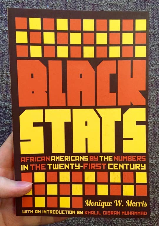 Black Stats: African Americans in the 21st Century by Monique W. Morris