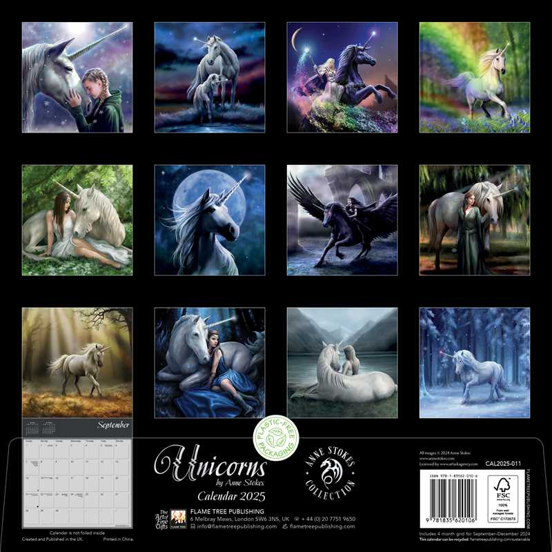 Unicorns by Anne Stokes Wall Calendar 2025 (Art Calendar) by Anne Stokes