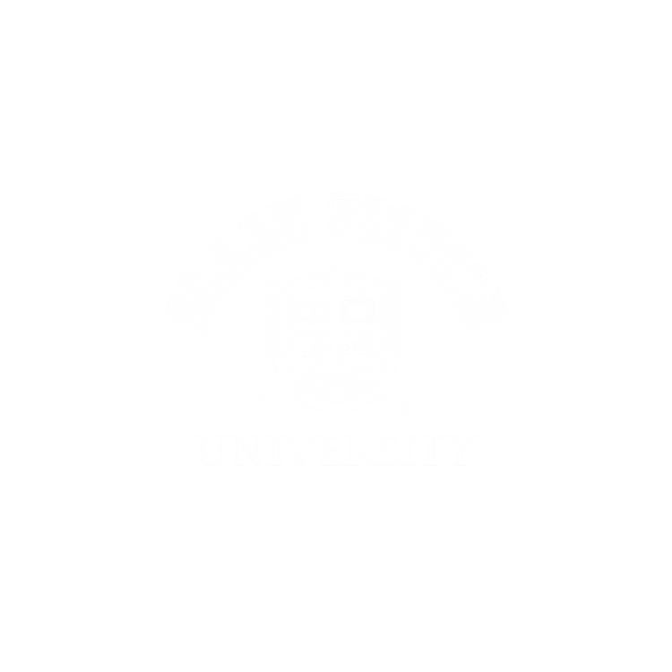 Black Fiction University