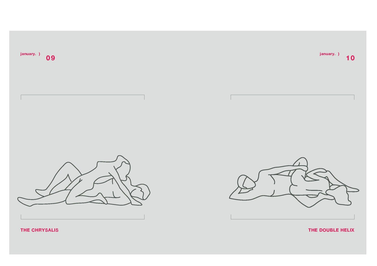 Position of the Day (Revised Edition) by Nerve.com