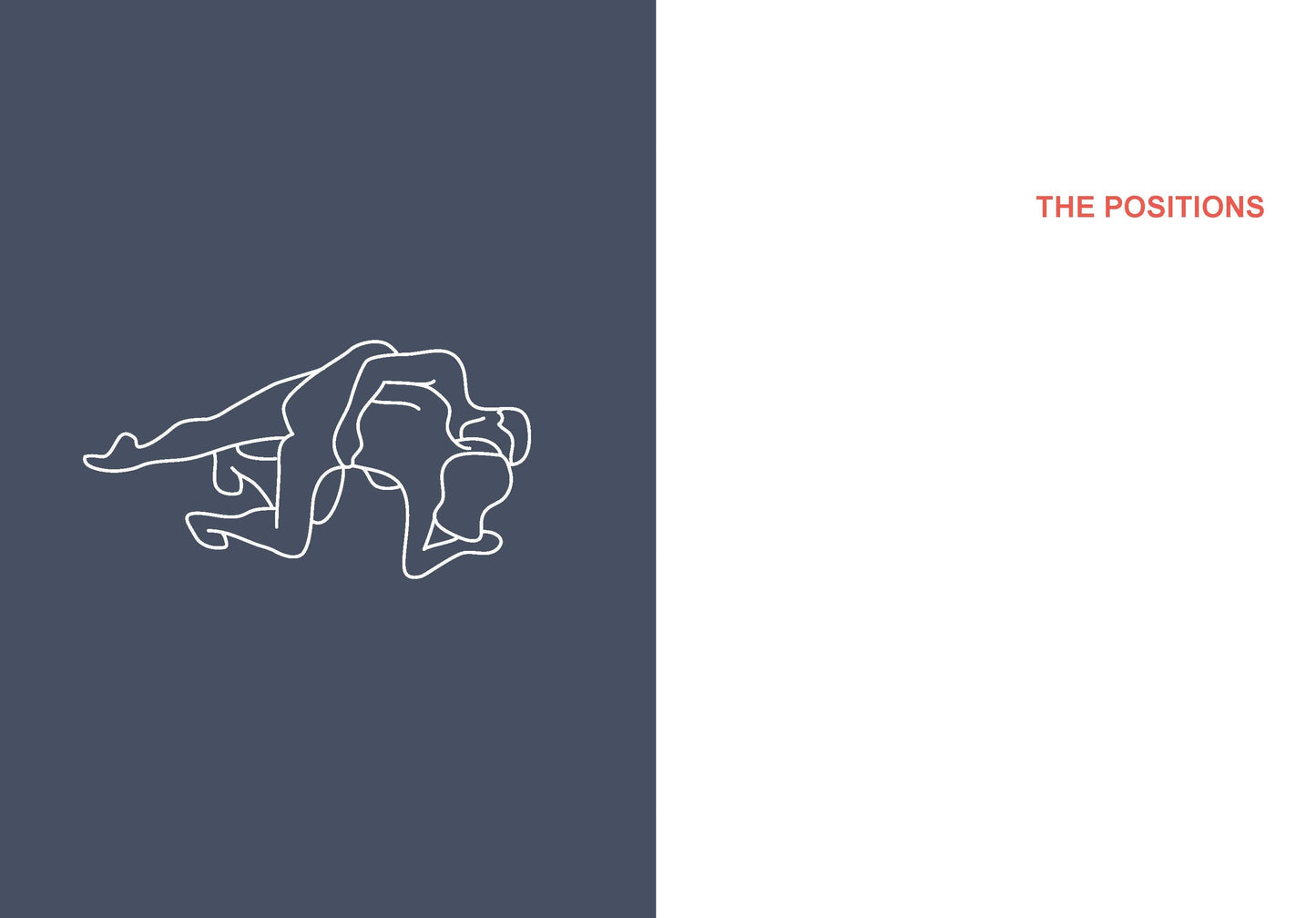 Position of the Day Playbook (Revised Edition) by Nerve.com