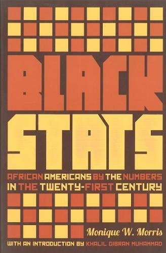 Black Stats: African Americans in the 21st Century by Monique W. Morris