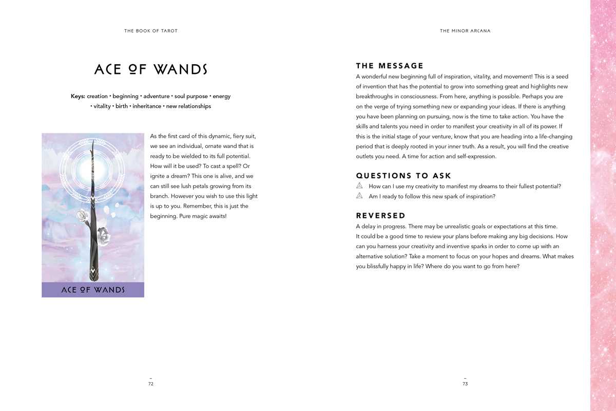 Book of Tarot by Danielle  Noel