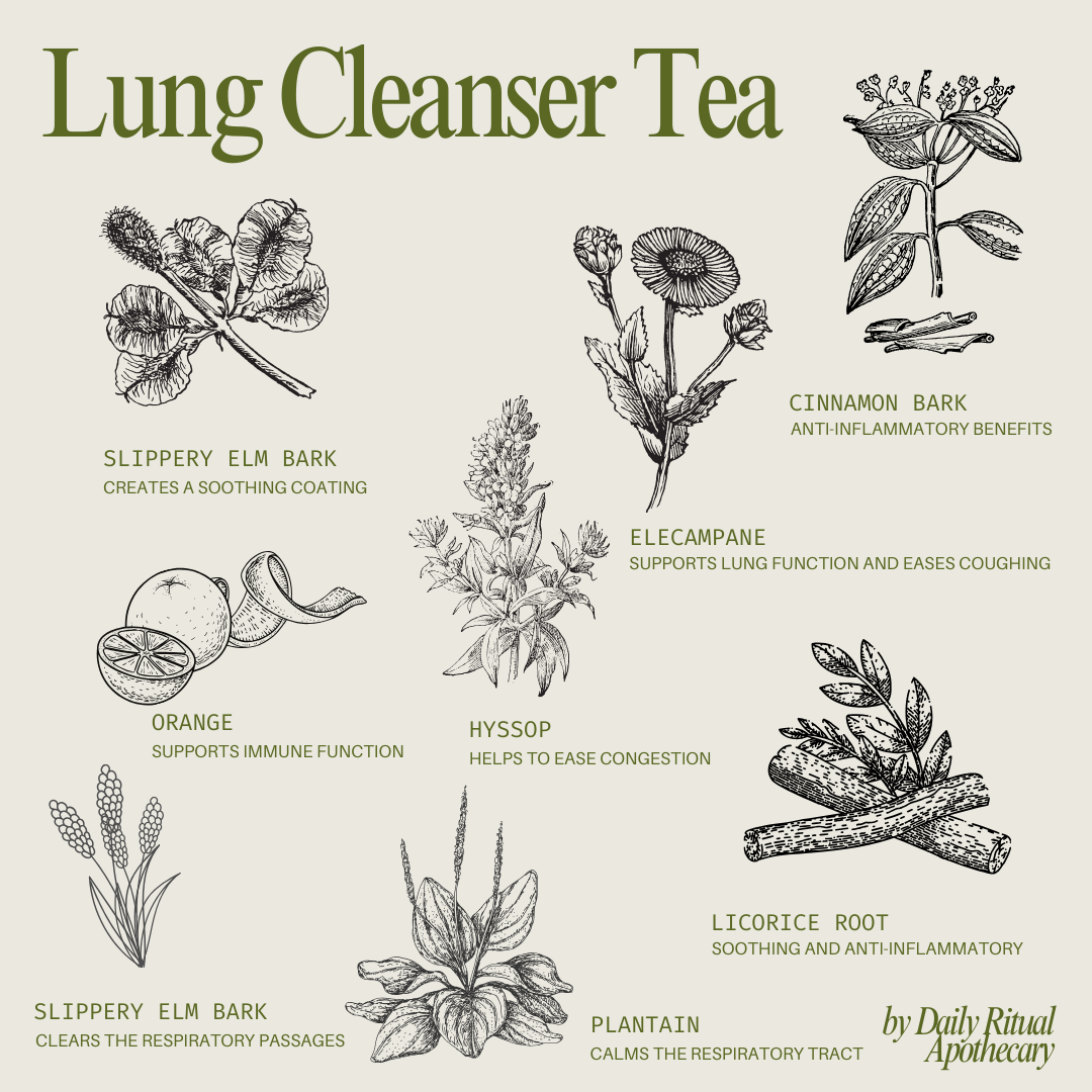Lung Cleanser Loose Leaf Herbal Tea | Glass Jar