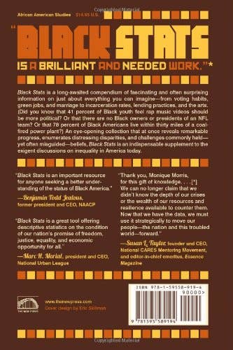 Black Stats: African Americans in the 21st Century by Monique W. Morris